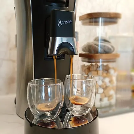 Appartement Light View - New Center